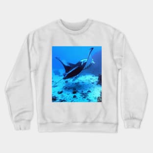 Manta ray in Bora Bora Crewneck Sweatshirt